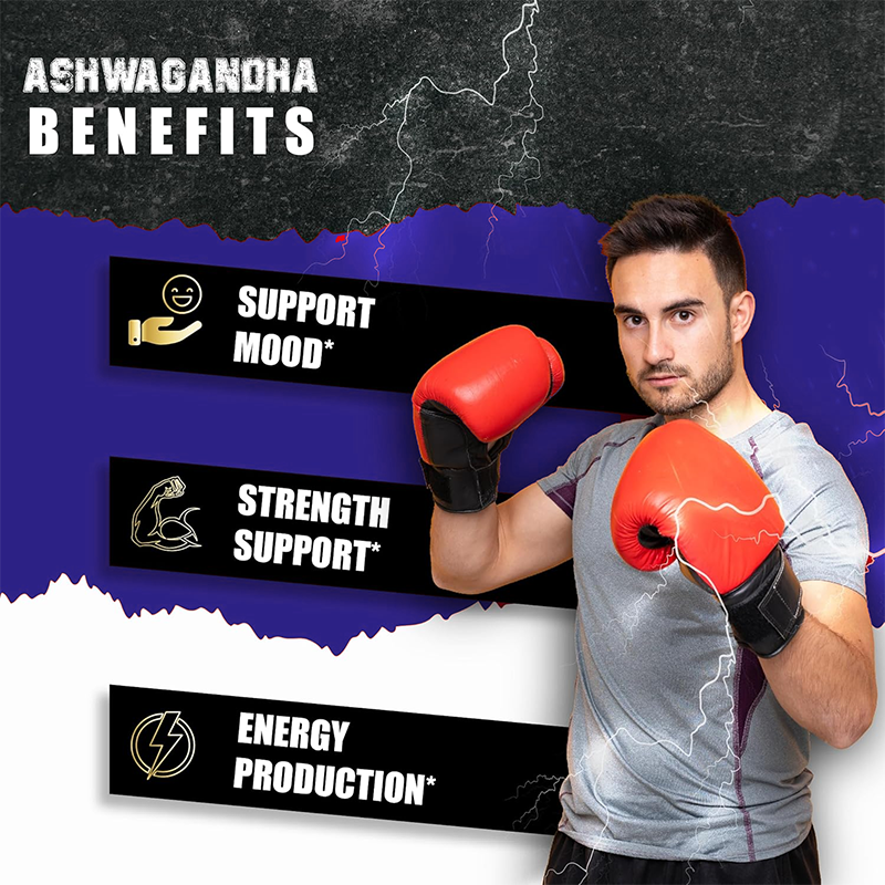 Powerful Herbal & Marine Blend - Herbal Wellness Blend avaliação e preço