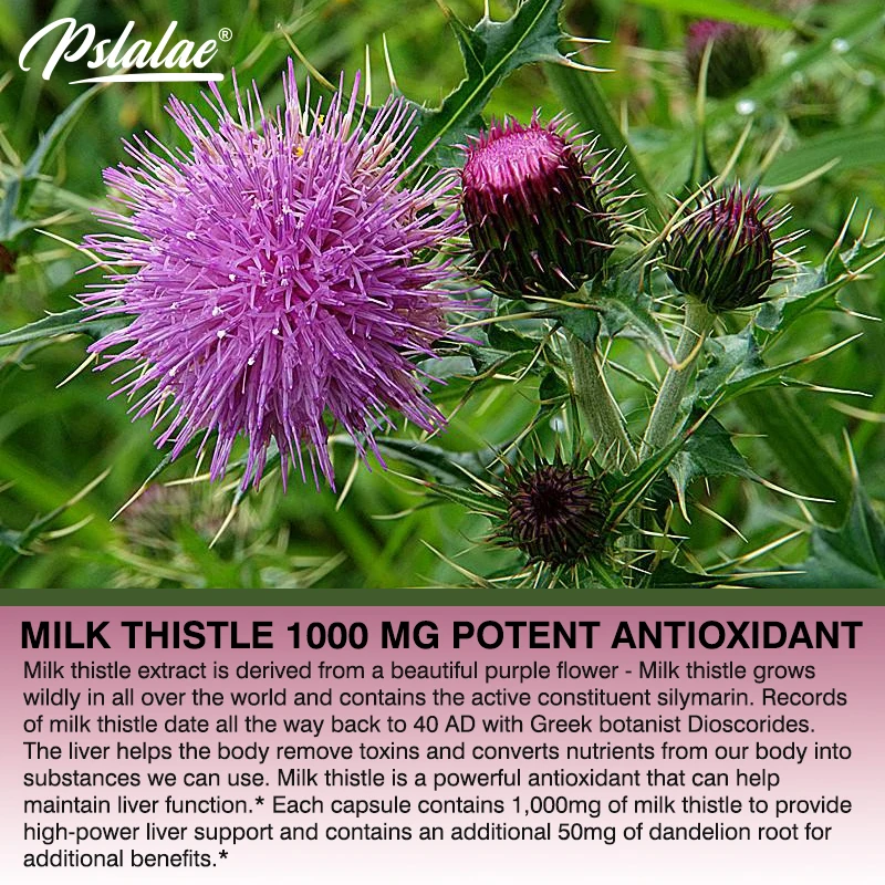 Natural Milk Thistle Supplemen - Milk Thistle Silymarin avaliação e preço