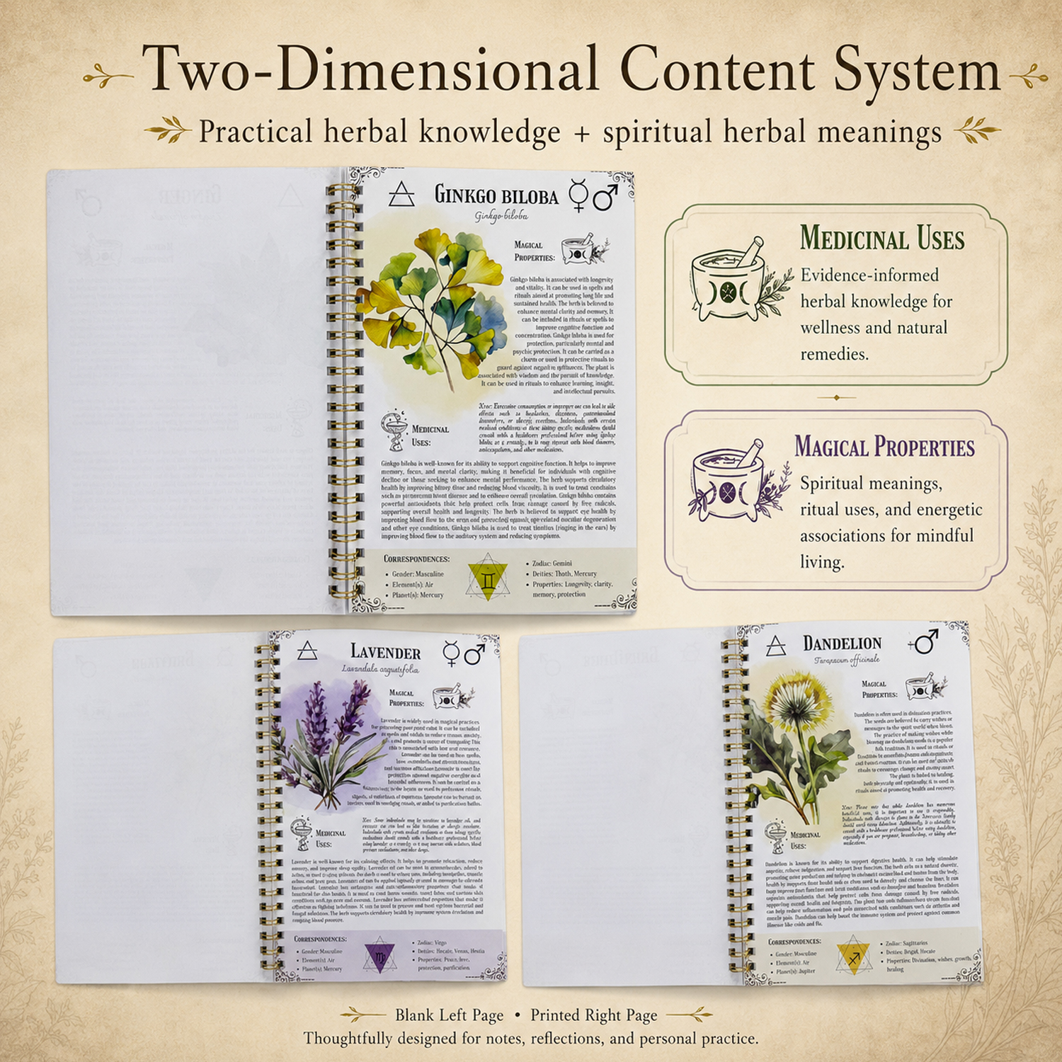 1Pc Spiral Bound Holistic Well - Herbal Holistic Wellness avaliação e preço
