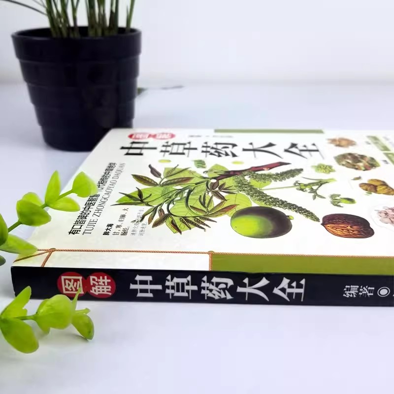 The Ancient Herbarium Holistic - Herbal Holistic Wellness avaliação e preço