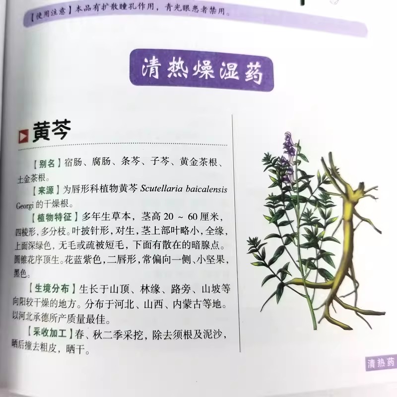 The Ancient Herbarium Holistic - Herbal Holistic Wellness avaliação e preço